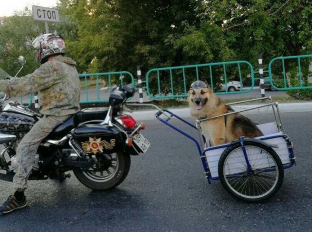 Fun With Motorcycles (48 pics)