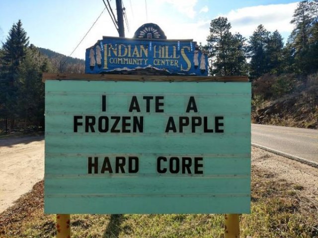 Indian Hills Is The Capital Of Puns (40 pics)