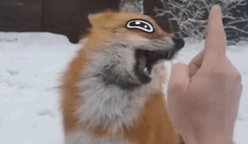 Acid Gifdump, September 2 (25 gifs)