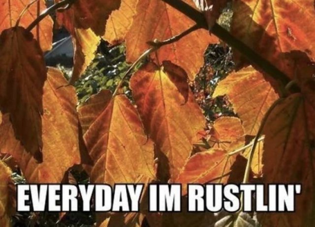 It's A Perfect Time For These Fall Memes (28 pics)