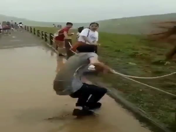 Hold On Tight