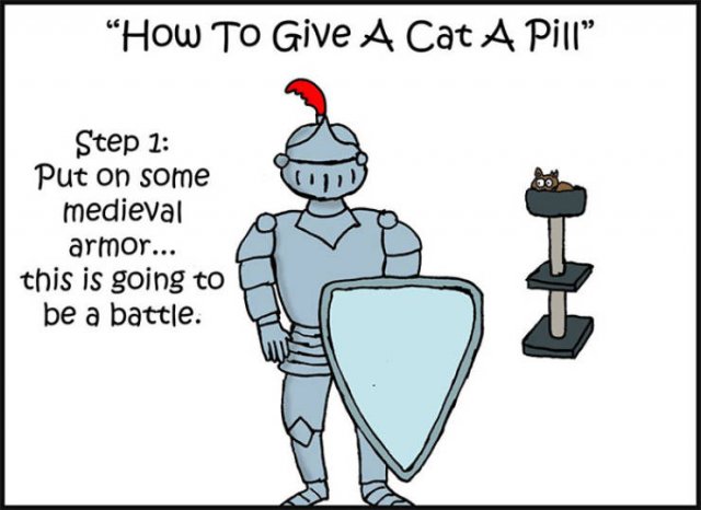 How To Give A Cat A Pill (10 pics)
