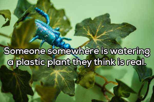 Shower Thoughts (20 pics)