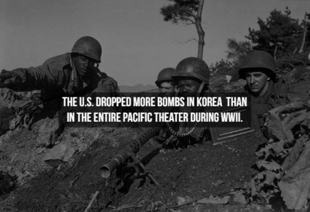 Facts About Wars (25 pics)