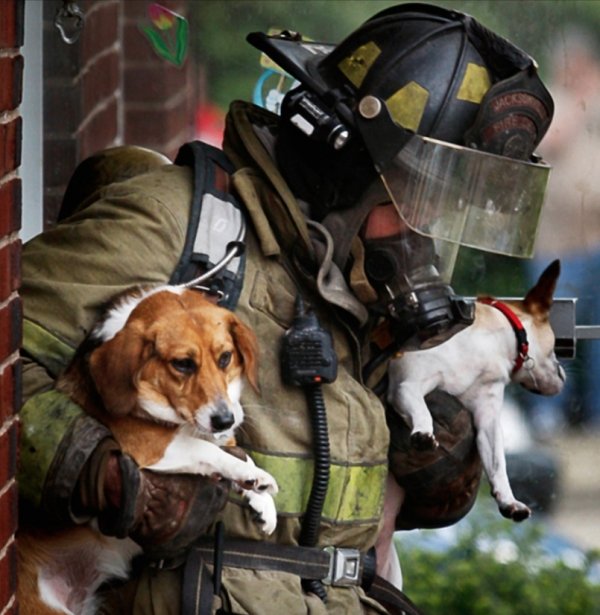 Brave Firefighters Are Always There To Help You (47 pics)