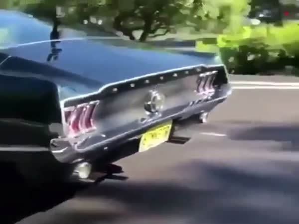 Lambo Showing Off Its Loud Engine Until This Mustang Shows Up In Traffic