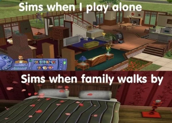 The Sims Memes (40 pics)