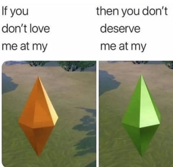 The Sims Memes (40 pics)