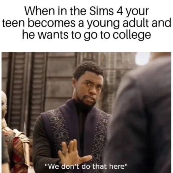 The Sims Memes (40 pics)