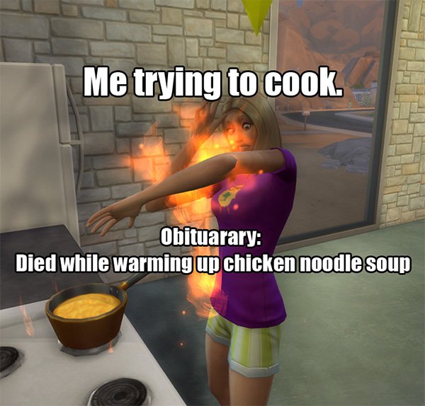 The Sims Memes (40 pics)