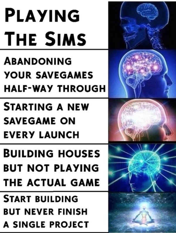 The Sims Memes (40 pics)