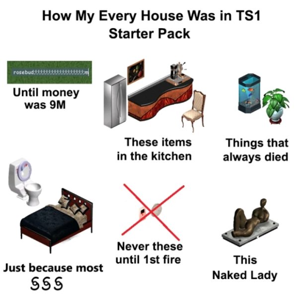 The Sims Memes (40 pics)