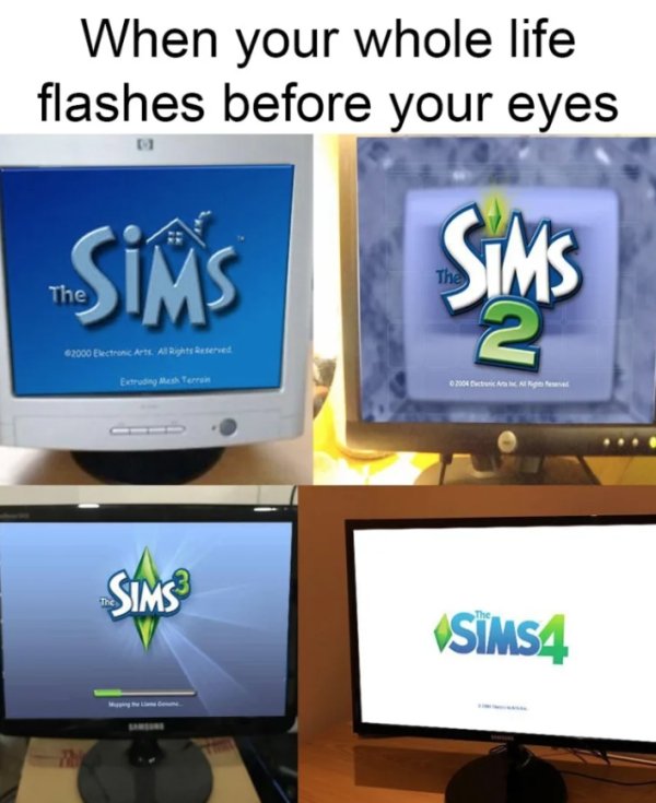 The Sims Memes (40 pics)