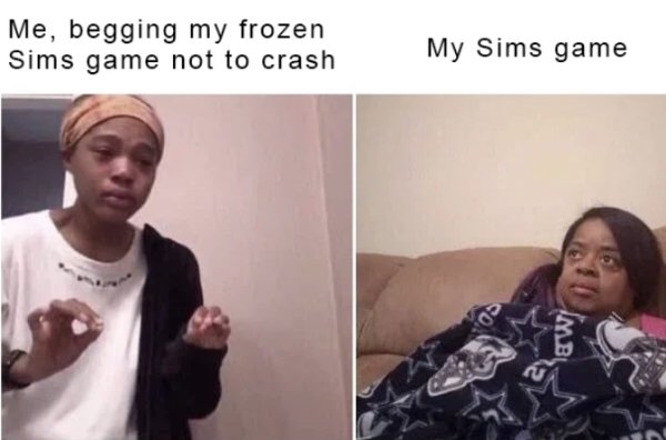 The Sims Memes (40 pics)