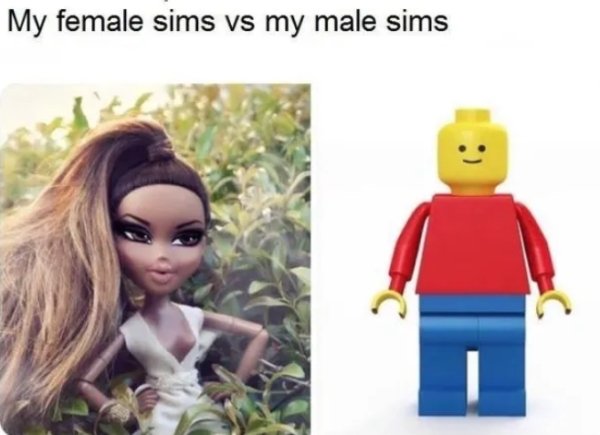 The Sims Memes (40 pics)