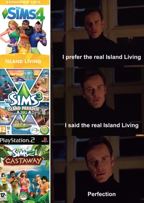 The Sims Memes (40 pics)