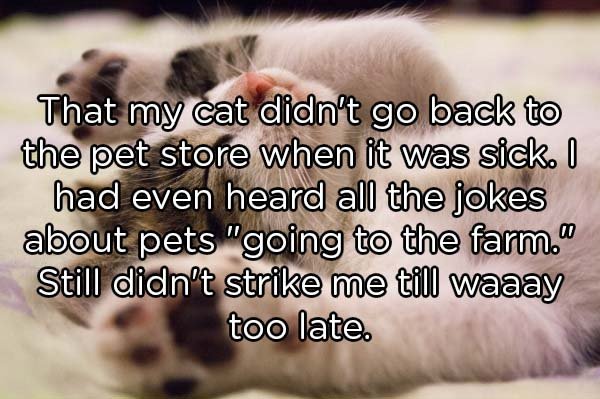 Things That People Figured Out Too Late (20 pics)