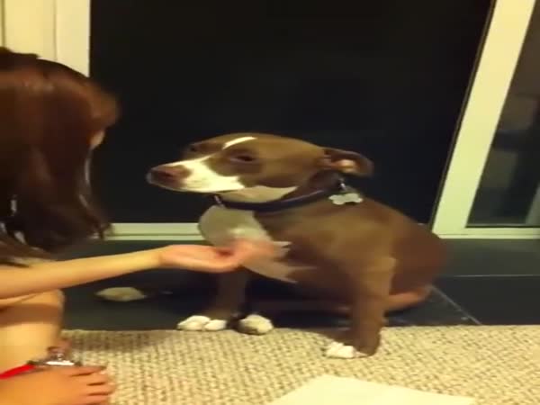 What A Drama Queen