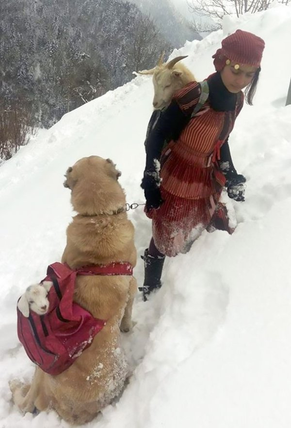 Great Photos (28 pics)
