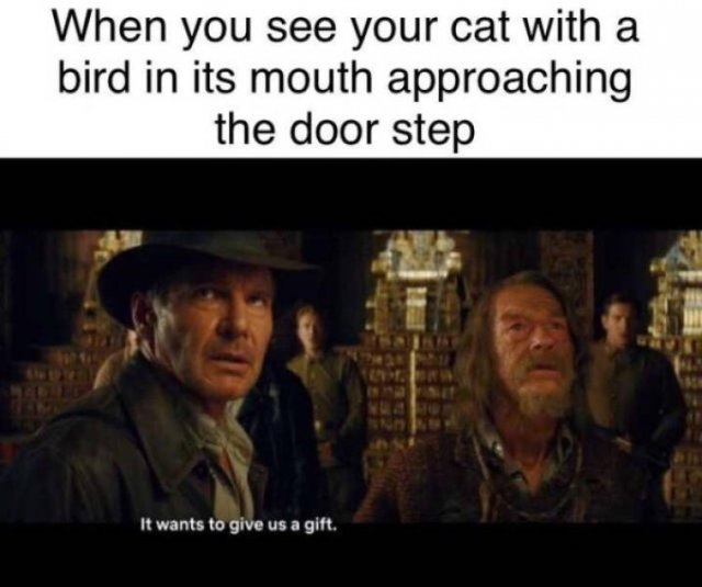Indiana Jones Memes (36 pics)