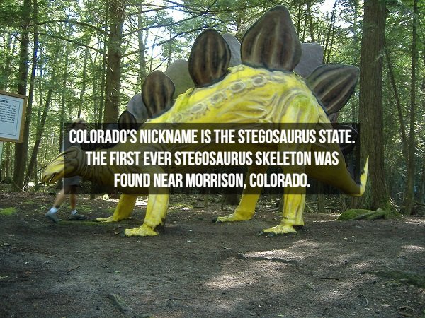 Dinosaur Facts (18 pics)