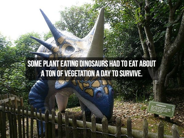 Dinosaur Facts (18 pics)