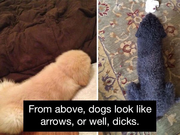 Once You Know It, It Can't Be Unseen (18 pics)