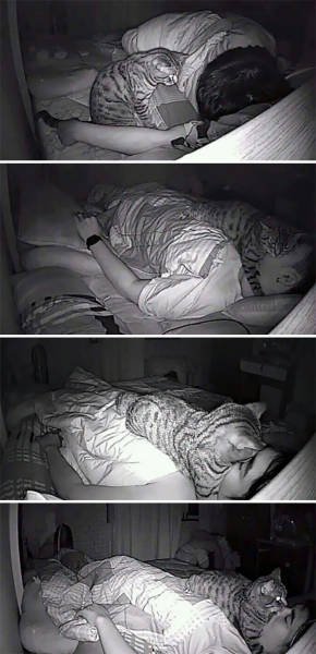 People Can Sleep Anywhere (45 pics)
