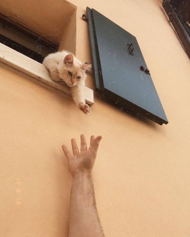 Acid Picdump. Part 1 (100 pics)