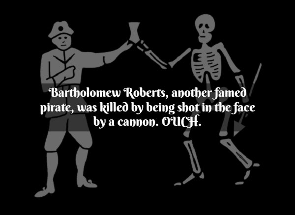 Facts About Pirates (20 pics)