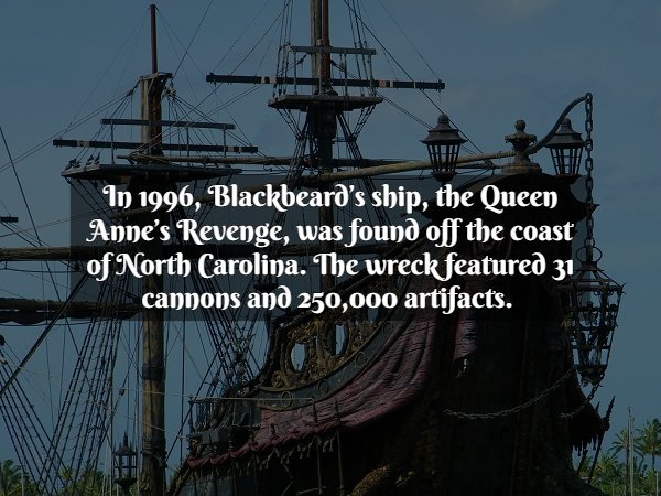Facts About Pirates (20 pics)