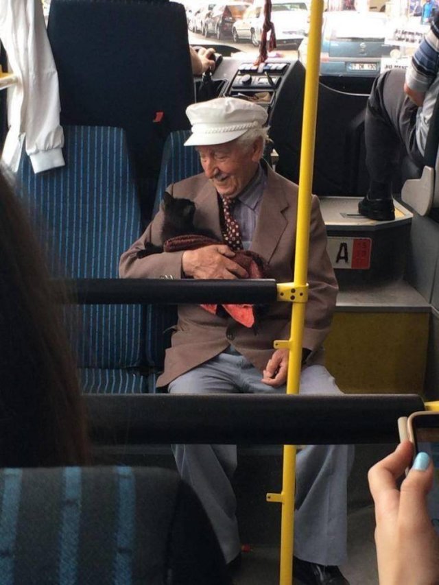 When A Picture Says More Than Just A Thousand Words (51 pics)