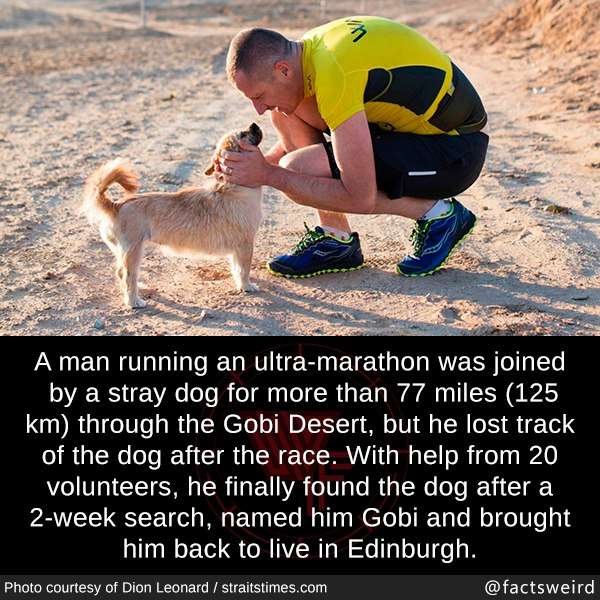 Those Are So Wholesome (26 pics)