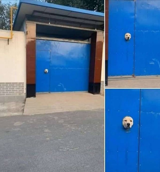 Acid Picdump. Part 1 (120 pics)