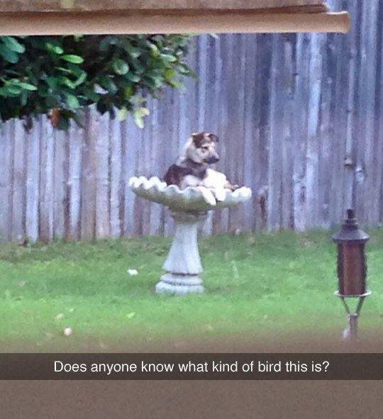 Acid Picdump. Part 1 (120 pics)