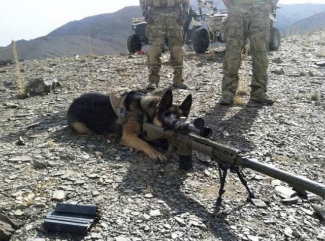 Acid Picdump. Part 1 (120 pics) Acid Picdump. Part 1 (120 pics)