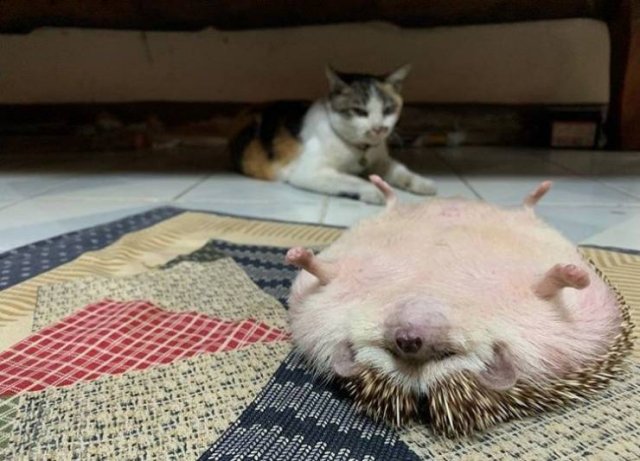 Acid Picdump. Part 1 (120 pics)