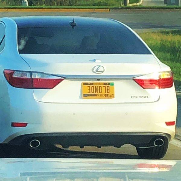 Acid Picdump. Part 1 (120 pics)