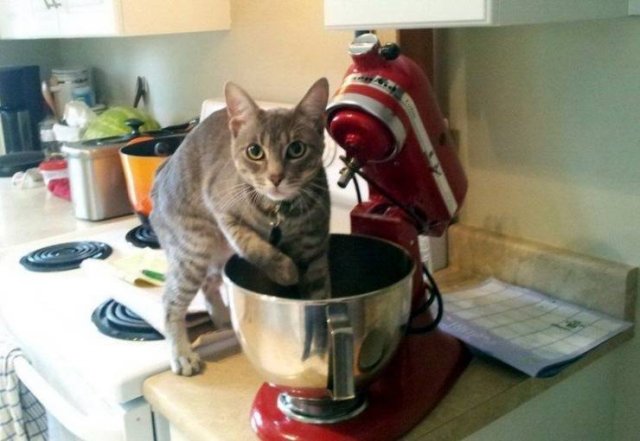 Acid Picdump. Part 1 (120 pics)