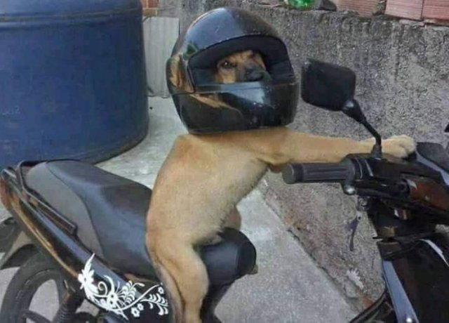 Acid Picdump. Part 1 (120 pics)