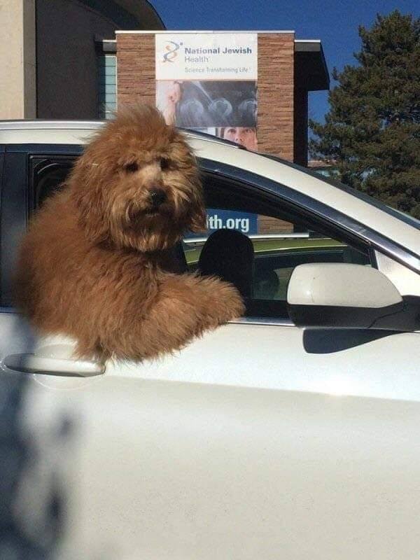 Acid Picdump. Part 1 (120 pics)