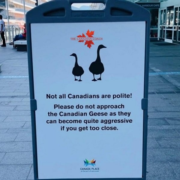 Welcome To Canada (27 pics)