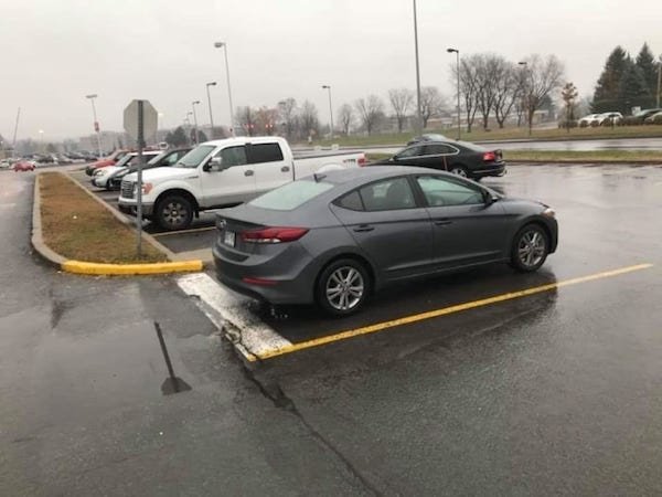 They Need To Learn Parking (32 pics)