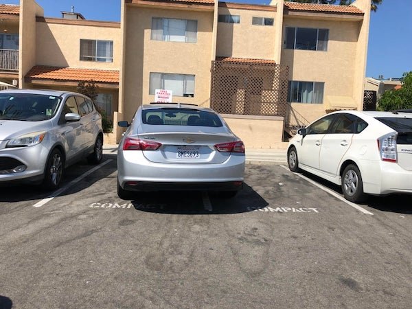 They Need To Learn Parking (32 pics)