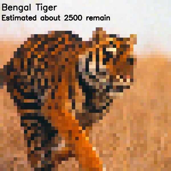 Endangered Animal Photos Composed Of As Many Pixels As Species Left (22 pics)