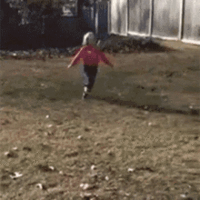 Falling Into Autumn Leaves (17 GIFs)