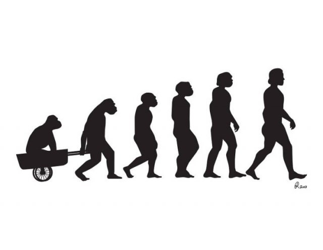 Funny Illustrations About The Evolution (30 pics)