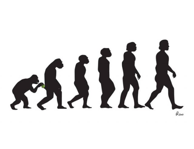 Funny Illustrations About The Evolution (30 pics)