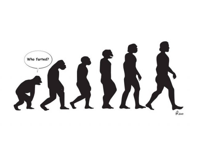 Funny Illustrations About The Evolution (30 pics)