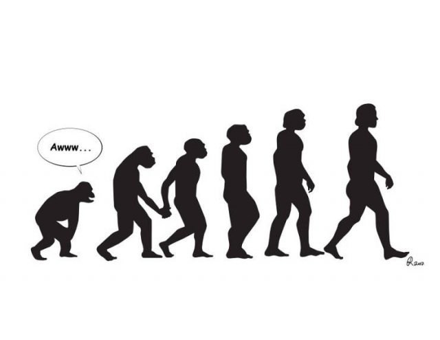 Funny Illustrations About The Evolution (30 pics)